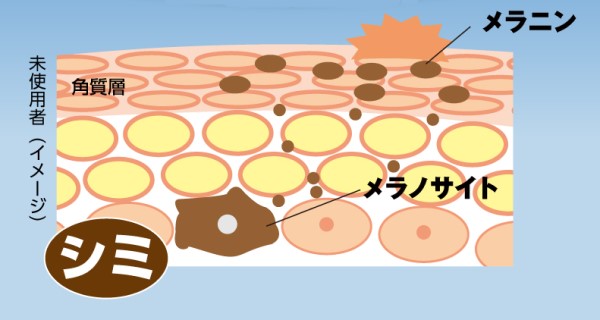 薬用【マジックナイト】